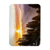 Zonnebossen Magneet (Verticaal)