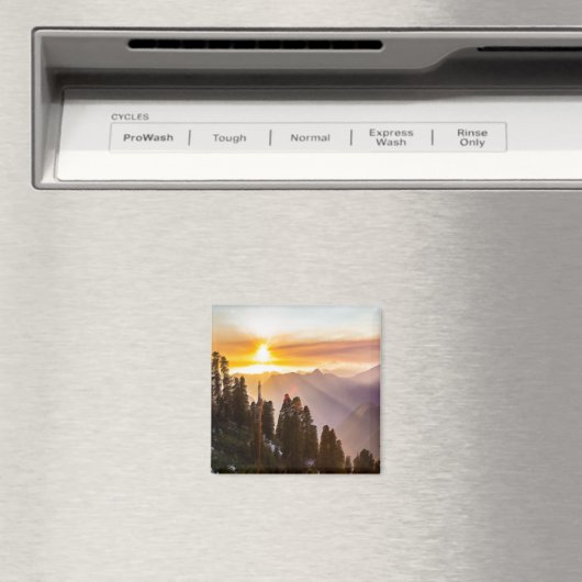 Zonnebossen Magneet (Insitu (Vaatwasser))