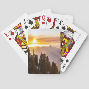 Zonnebossen Pokerkaarten