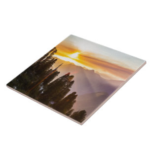 Zonnebossen Tegeltje