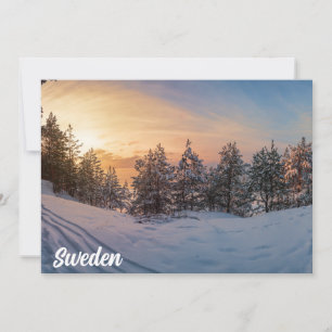 Zonnebrand in het bevroren sneeuwbos nabij zee