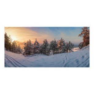 Zonnebrand in het bevroren sneeuwbos nabij zee foto afdruk
