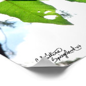 Zonnebrandblusbladeren Poster of druk (Hoek)