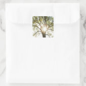 Zonnebrandboom Vierkante Sticker (Tas)