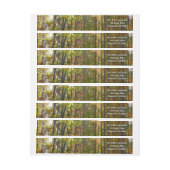 Zonnebrandend Herfst in het najaar (Vel)