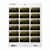 Zonnebrandend Herfst in het najaar Etiket (Full Sheet)