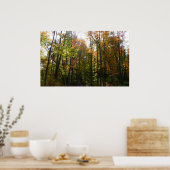 Zonnebrandend Herfst in het najaar Poster (Keuken)