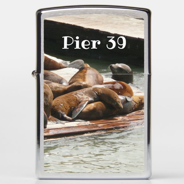 Zonnebranderige Zeeen in San Francisco (Voorkant)