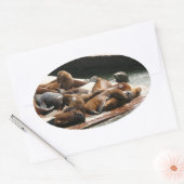 Zonnebranderige Zeeen in San Francisco Ovale Sticker (Envelop)