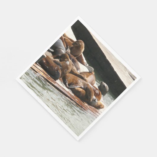 Zonnebranderige Zeeen in San Francisco Servet (Hoek)