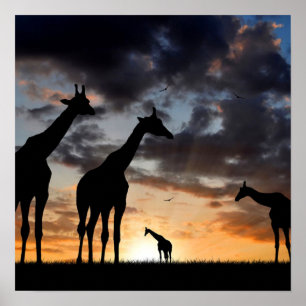 zonnebrandmiddel wild giraf silhouet poster