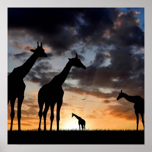 zonnebrandmiddel wild giraf silhouet poster (Voorkant)