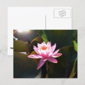 Zonnebrandstoffles Briefkaart (Voorkant / Achterkant)