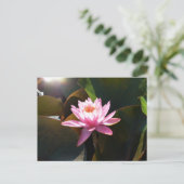 Zonnebrandstoffles Briefkaart (Staand voorkant)