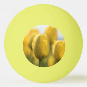 Zonnebuisjes Pingpongballen