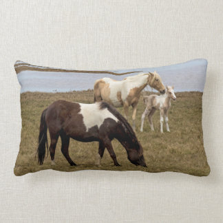 Zonneburst Sierkussen Kussen