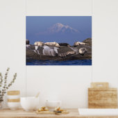 Zonnedagen zijn weer hier - fijne Prints (Keuken)