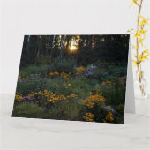 Zonnedagentuinen Kaart (Gele Bloem)