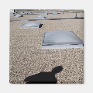 Zonnedagverlichtingssysteem Magneet