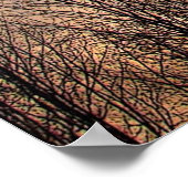 Zonneet met Bare Trees Poster (Hoek)