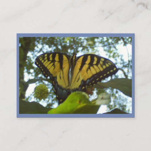 Zonnegeel monarch visitekaartje (Voorkant)