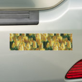 Zonnegele tulpen bumpersticker (Op auto)