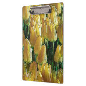 Zonnegeltulpen Klembord (Links)