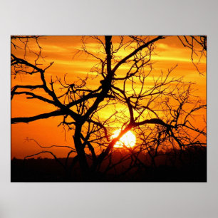 Zonnegetwind Poster
