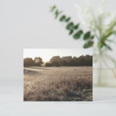 Zonnehoogte in het Beer Valley Trailhead Landscape Briefkaart (Staand voorkant)