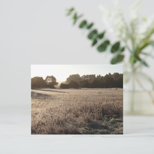 Zonnehoogte in het Beer Valley Trailhead Landscape Briefkaart (Staand voorkant)