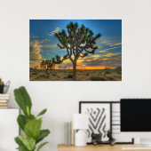 Zonnehoogte in het Nationaal Park Joshua Poster (Thuiskantoor)