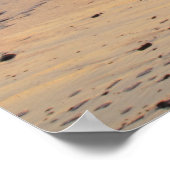 Zonnekcape Nationale Seashore Poster (Hoek)