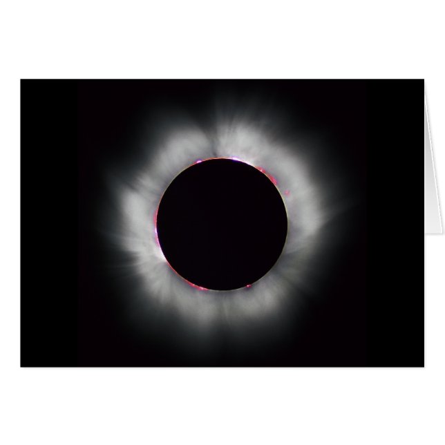Zonneknipsel (Voorkant Horizontaal)
