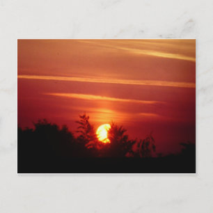 Zonneknipsel Briefkaart