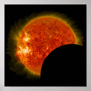 Zonneknipsel in uitvoering poster