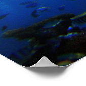 zonnekoraal poster (Hoek)