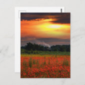 Zonnekrabben en stoomlocomotief briefkaart (Voorkant / Achterkant)