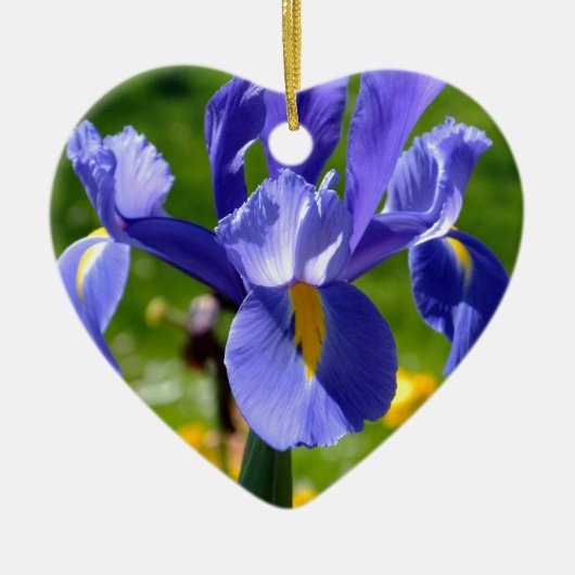 Zonnelicht op blauwe iris keramisch ornament (Voorkant)