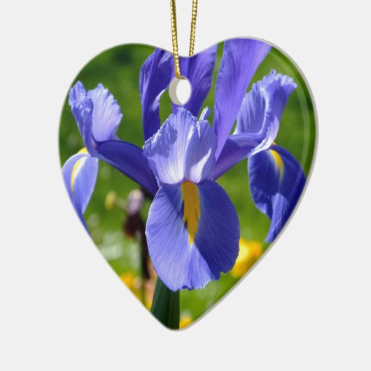 Zonnelicht op blauwe iris keramisch ornament (Links)