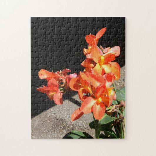 Zonneliefde... Legpuzzel (Verticaal)