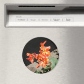 Zonneliefde... Magneet (Insitu (Vaatwasser))