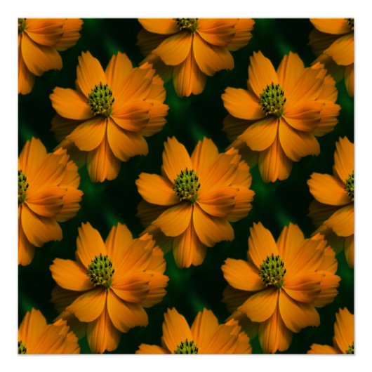 Zonneliefde.. Perfect Poster (Voorkant)