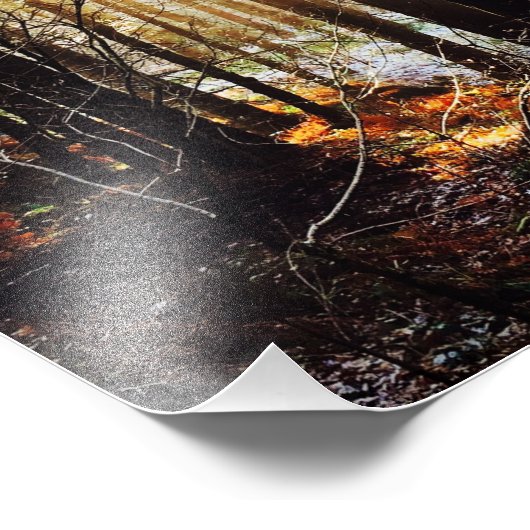 Zonneopend landschap in bossen, poster (Hoek)