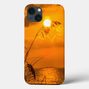 Zonneopgang door het gras iPhone 13 hoesje
