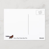 Zonneopgang in het bos in de Rocky Mountain Briefkaart (Achterkant)