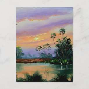 Zonneopgang op de Everglades Briefkaart
