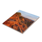 Zonneopgang op het grote Uitzicht spoor bij het CO Tegeltje (Zijkant)