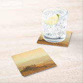 Zonneopgang over het landschap in het onderzetter  (Insitu)