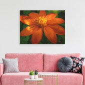 Zonneopje op Mexicaanse zonnebloempitten Canvas Afdruk (Insitu (Woonkamer))