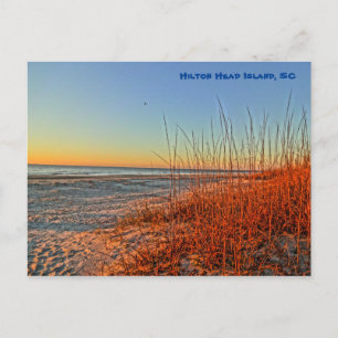 Zonneopje over het Surf! Hilton Head Island SC Briefkaart